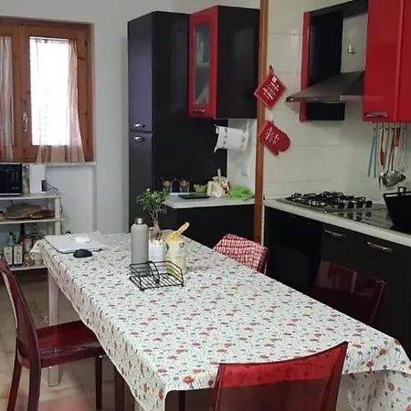 The White Light-house *